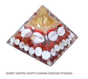 SHREE YANTRA GOMTI CHAKRA PYRAMID
