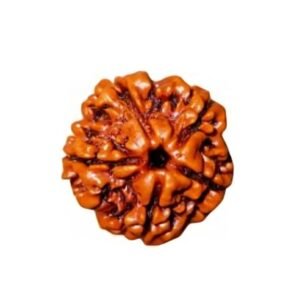 5 Mukhi Rudraksh